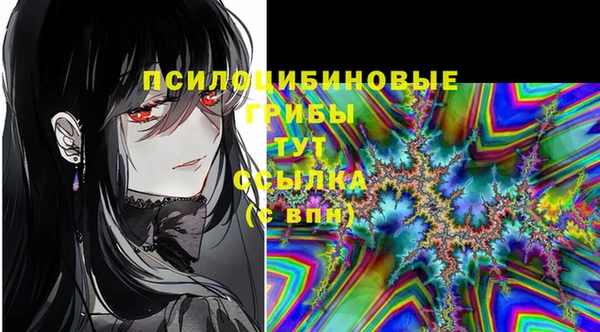 амфетамин Белокуриха