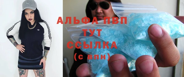 прущие грибы Арсеньев