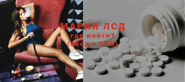 прущие грибы Арсеньев