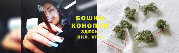 мяу мяу мука Беломорск
