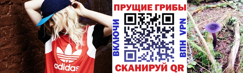 даркнет Telegram  Короча  Псилоцибиновые грибы мухоморы  где купить наркоту 