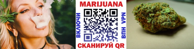 Марихуана план  купить   Короча 